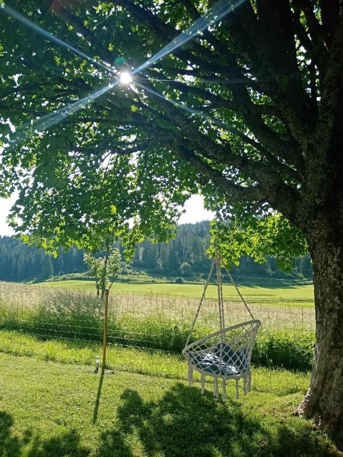 Bed and Breakfast Les P'Tites Pistes Chaux-des-Pres Esterno foto